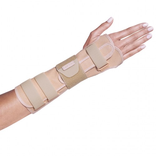 tala longa bil_Easy-Resize.com